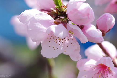 来看 今年桃花和感情更顺的星座