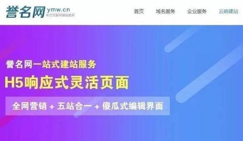 支网查重率背后的SEO策略：提升网站排名的关键