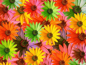 鲜花背景艺术花朵插画素材花叶植物摄影广告元素图片