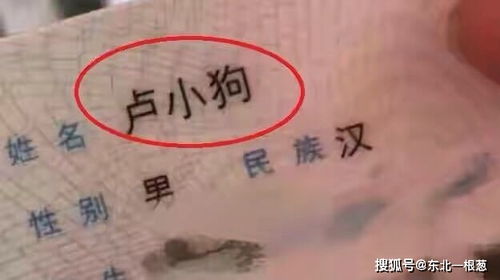 那些最尴尬的人名,只有你想不到,没有爸妈不敢取的雷人名字