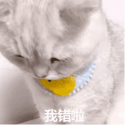 可爱猫咪动图表情包