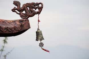 风之诗韵，古人心中的风，那些悠远意境，古诗《风》意思