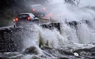 狂风暴雨真的来了 看着黑压压的天吓死宝宝了