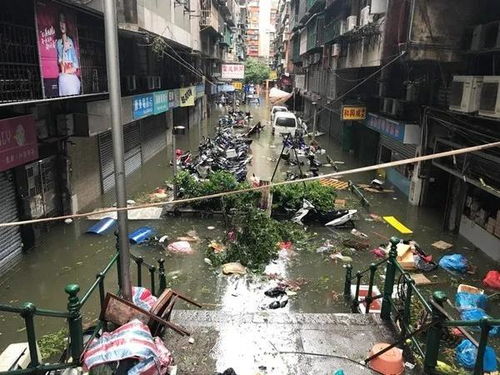 水浸街啦 一年一度的台风季又要来了