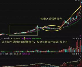 新手散户怎样靠股市赚到一百万