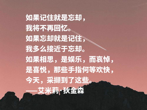 离婚律师名言-有关律师存在的意义的名言？