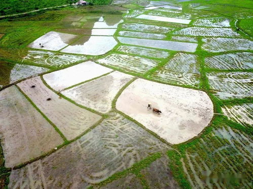 清明已过谷雨未至什么意思