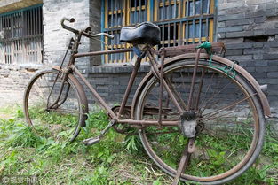 那辆破旧的自行车(那辆破旧的自行车英语)