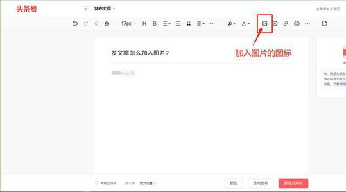 发文章怎么加入图片