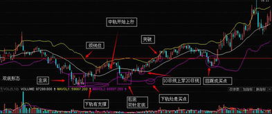 个股判断分析，高手进，新股民爬！