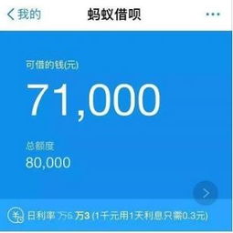 为什么借呗我借了3000，分12期，，提前还钱，显示未还本金，那那些提前还的钱都是利息吗？