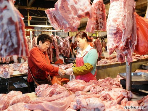 猪价大跌53 ,猪肉连降18周,量增价降下,猪肉价格更 省心 生猪 