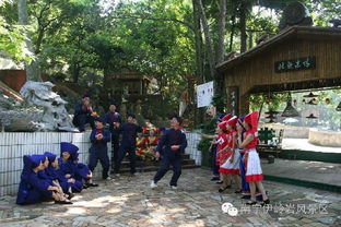 2017南宁到伊岭岩一日游攻略