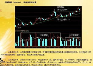 下一交易日，买哪只股票？