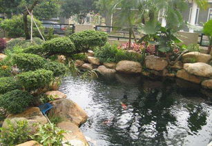 庭院景观设计点睛之笔 造个鱼池吧
