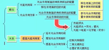 引用部分内容会被查重吗？如何避免影响SEO