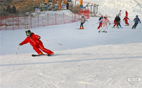 滑雪季丨安宁滑雪场坐着公交圆滑雪梦