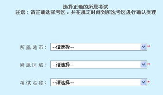 湖南会计从业资格网