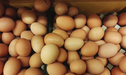 一天吃几个鸡蛋比较合适 吃鸡蛋要注意什么 你可以了解一下