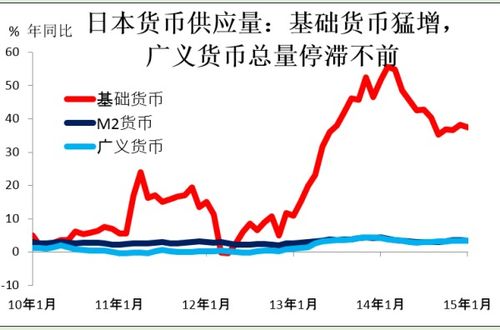 其他货币资产名词解释