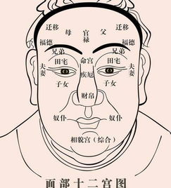 面相学之天仓 早年财库