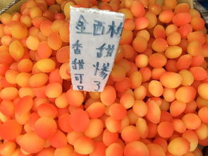 重庆看到这是什么水果 怪怪的颜色太鲜艳还满是糖分,你敢吃吗