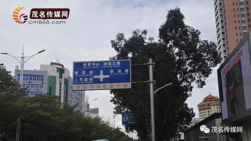 LU Road不分 市区这些路牌标识也混搭