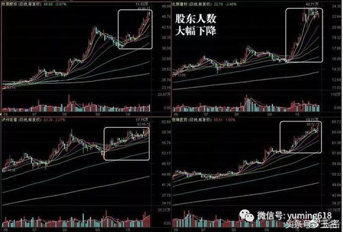 一只股票股东人数下降百分百是啥意思？