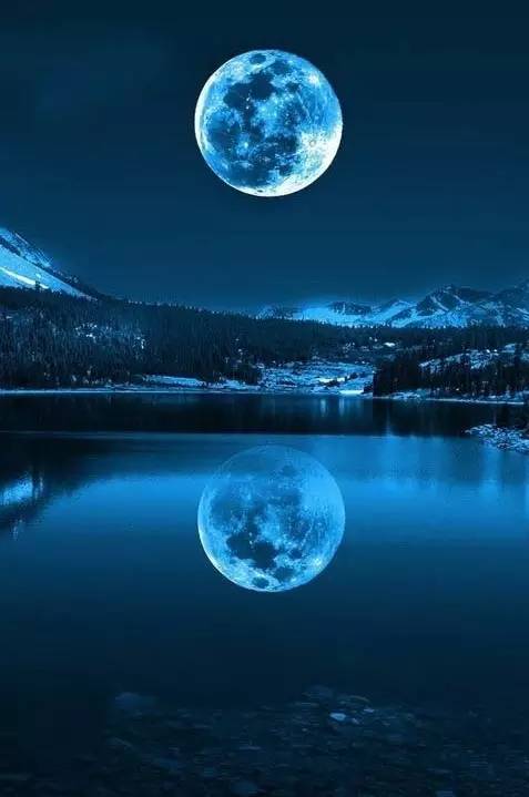 两句关于月亮与乡愁的诗句