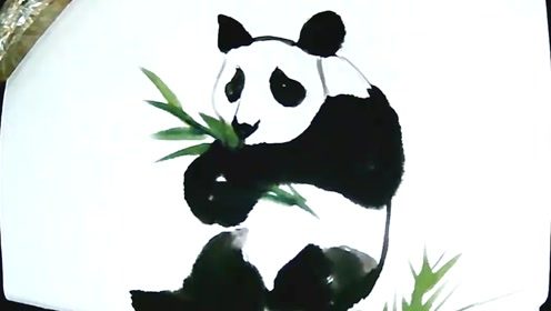 零基础学画熊猫技法分享