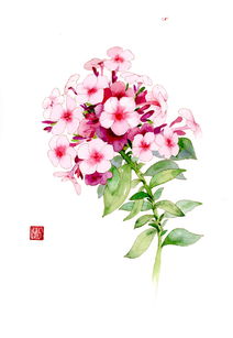 玄幻小说中的植物名 求中国各种的花名有哪些