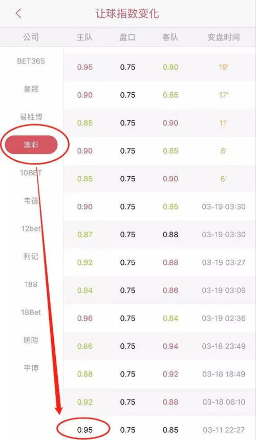 365盘口买大小球怎么看-深度解析足球赛事盘口数据与预测