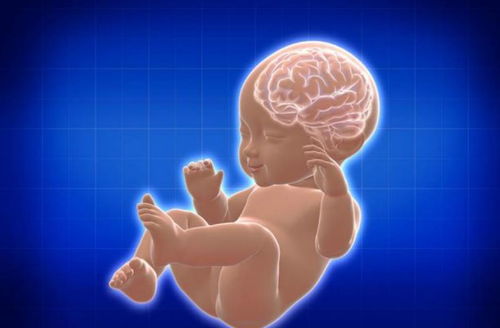 2岁宝宝说出胎儿时期的事情，难道胎儿有宫内记忆？看看研究成果