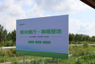 民生银行南京分行抗疫绿色通道助力“雷神山”项目建设