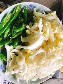 白菜炒青椒炒肉丝的做法步骤图,怎么做好吃 