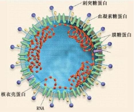 检测试剂扬帆出海,需求缺口还在吗 新冠疫情行业专题研究之四