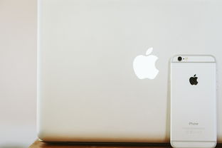 苹果笔记本字体怎么切换？轻松操作，让你的 Mac 焕然一新！