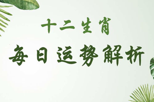 每日生肖运势 2020年10月31号,看运势吉凶