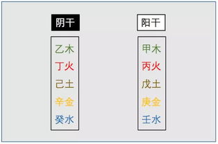 如何从日元的阴阳 五行分析性格特点