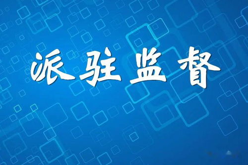 广昌 织密 三重一大 事项监督网 提升派驻监督精准度