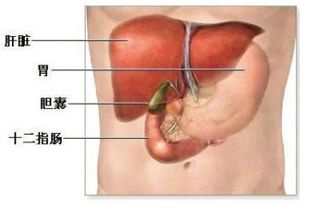 胆囊癌的费用是多少