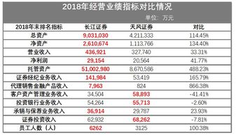 长江证券 长城证券是什么类别呀？