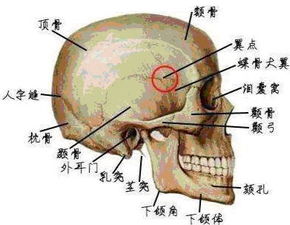 大连打人案,受害人的伤情为何没有想象中的重