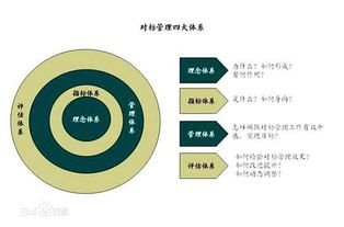 企业对标管理提升方案