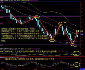 能否实现在日线图版面k线图，附图上，显示周k线。 也就是主图为日k线，附图为周k线。 不用老是切换了，谢