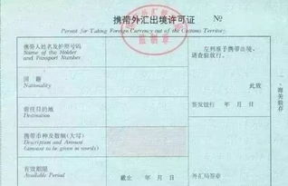 8月1日起,中国海关严查美元出镜,超过这数额,或将面临刑罚 申报 