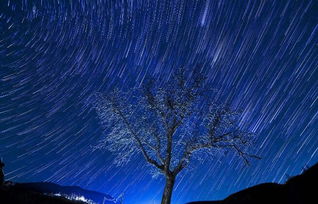 年轻男生梦到流星雨好不好(年轻男生梦到流星雨好不好看)