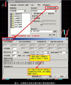 Advanced GET 怎么把数据转成TXT的啊？