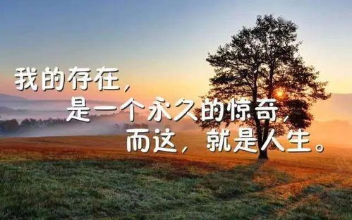 适合低估时期看的句子 行到水穷处,坐看云起时 人生道路 