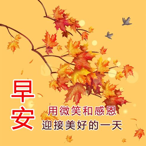 最美清晨问候早安的图片带字 最美最暖心的早安图片